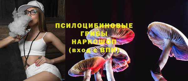 альфа пвп Саяногорск