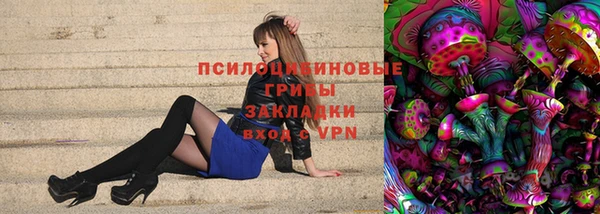 прущие крисы Россошь