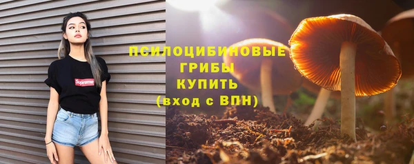 мдпв Сатка