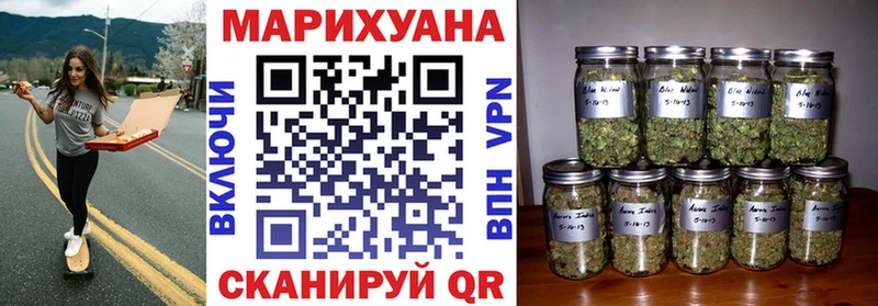 Конопля Bruce Banner  Талица 
